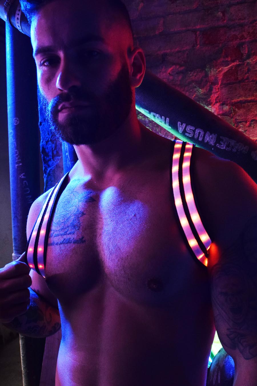 Rave Shoulder Harness