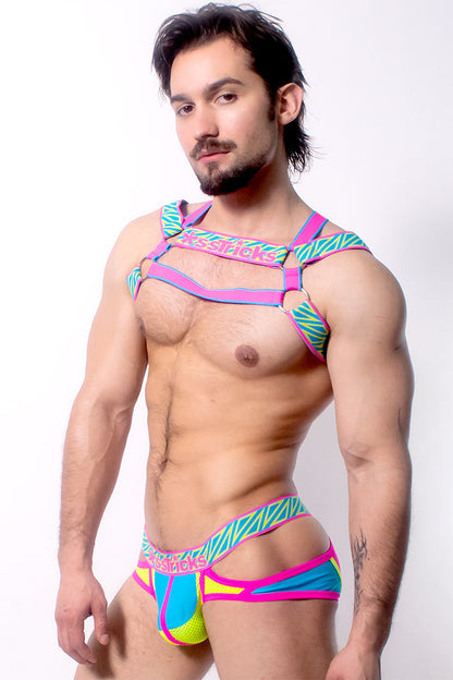 Prismatik Harness | PINK/YELLOW/BLUE