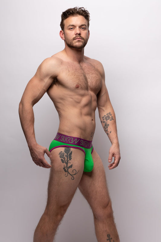 Classic Brief Multipack - Verdant Green & Deep Purple