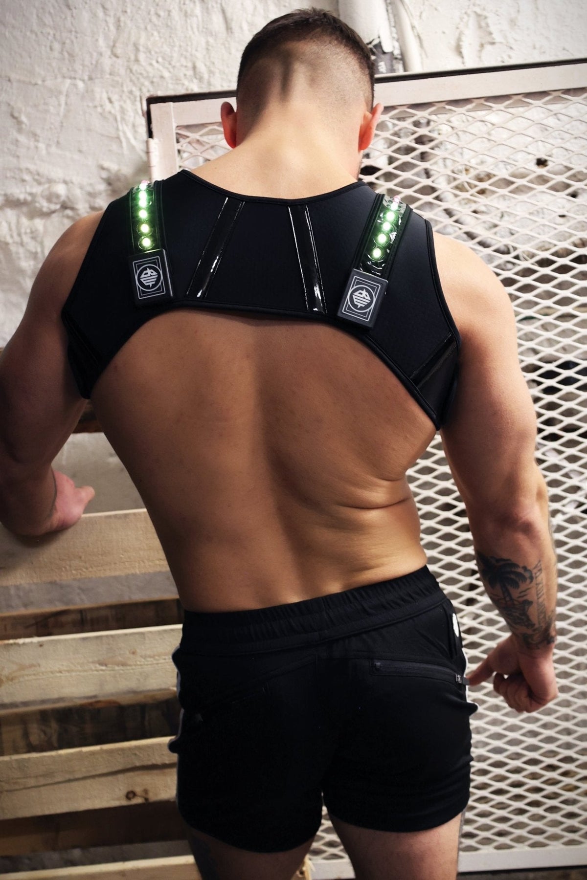 Prismaglow Chest Harness