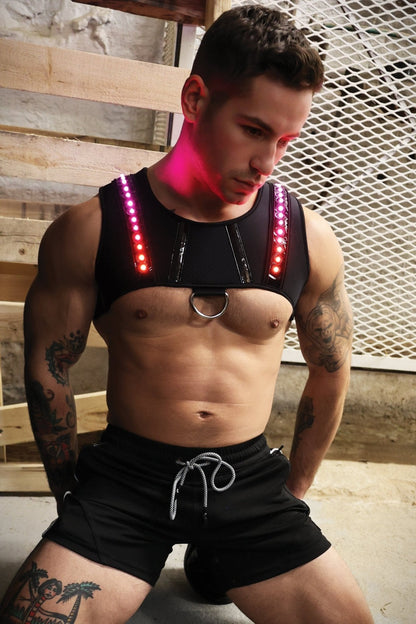 Prismaglow Chest Harness