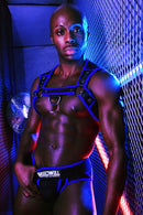 BREEDWELL NEOGEAR HARNESS - BLUE