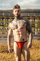 Sukrew Boston Bubble Thong