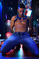 MAGNUM CIRCUIT HARNESS - BLUE