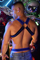 MAGNUM CIRCUIT HARNESS - BLUE