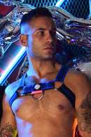 MAGNUM CIRCUIT HARNESS - BLUE