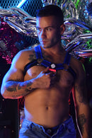 MAGNUM CIRCUIT HARNESS - BLUE