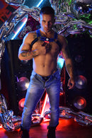 MAGNUM CIRCUIT HARNESS - BLUE