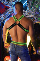 MAGNUM CIRCUIT HARNESS - NEON GREEN