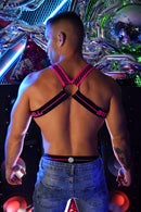 MAGNUM CIRCUIT HARNESS - PINK