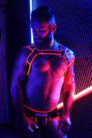 BREEDWELL NEOGEAR HARNESS - RED