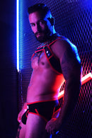 BREEDWELL NEOGEAR HARNESS - RED