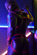 BREEDWELL NEOGEAR HARNESS - RED