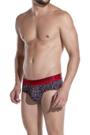 Briefs Cognitivo