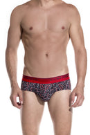 Briefs Cognitivo